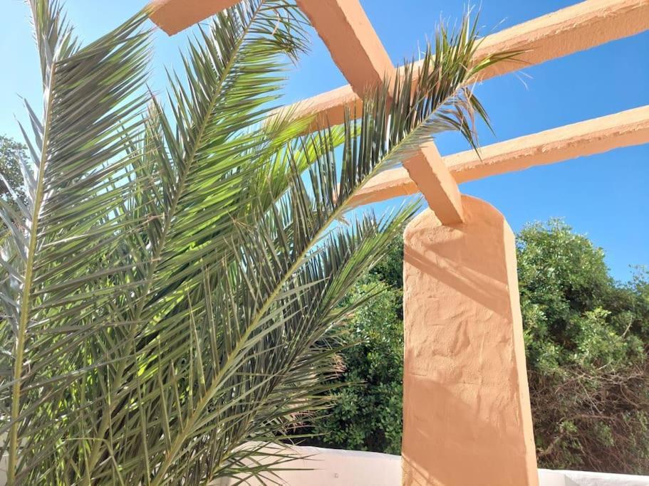 Piscina, Wifi, Patio Con Vistas Lägenhet Tarifa Exteriör bild