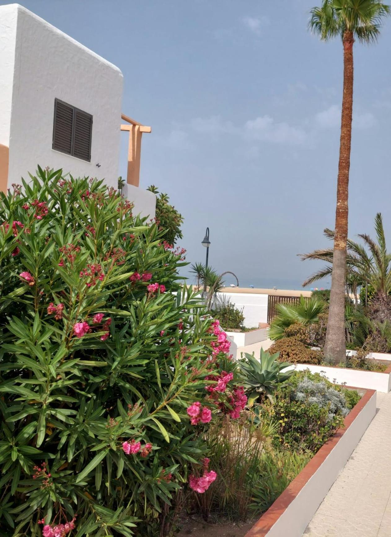 Piscina, Wifi, Patio Con Vistas Lägenhet Tarifa Exteriör bild